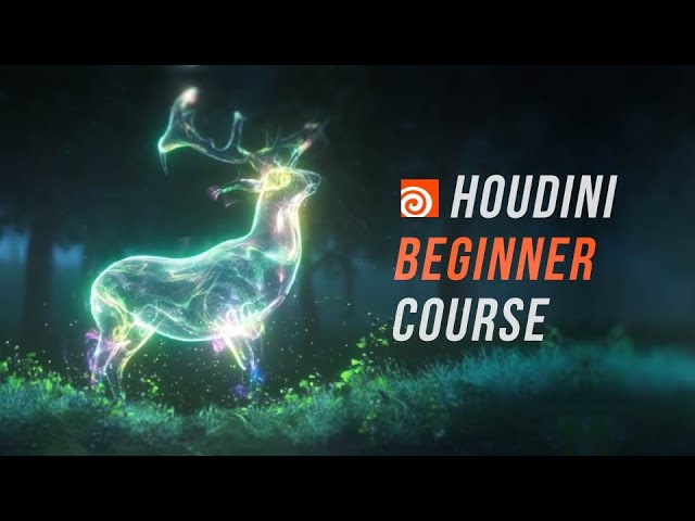 Houdini Beginner Course